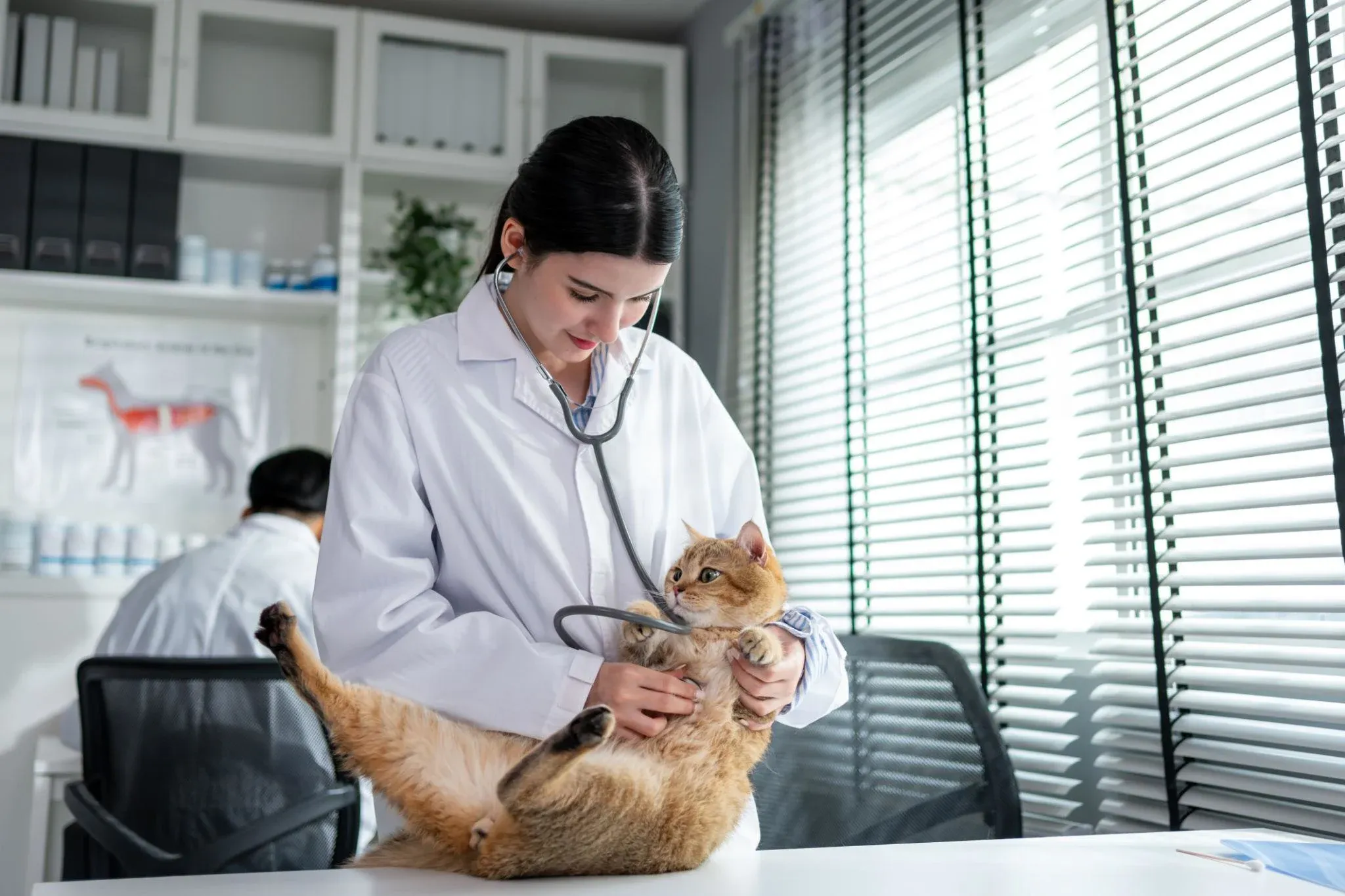 9 Best AVImark Alternatives for Veterinary Clinics in 2026
