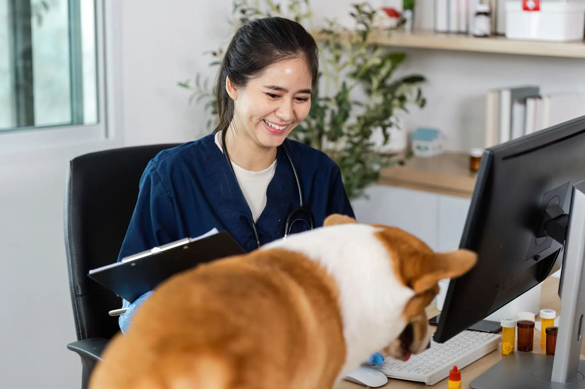 9 Best Cornerstone (IDEXX) Alternatives for Veterinary Clinics in 2026