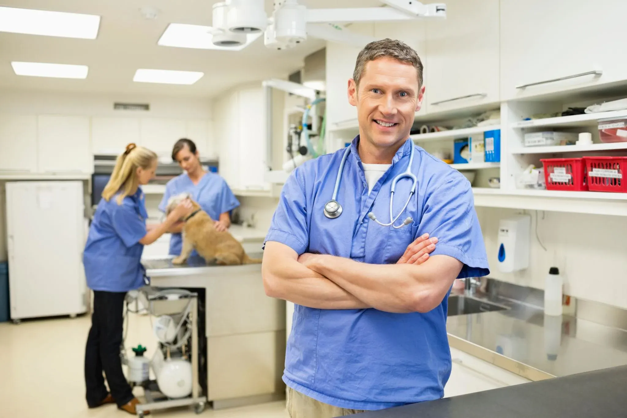 9 Best IntraVet Alternatives for Veterinary Clinics in 2026