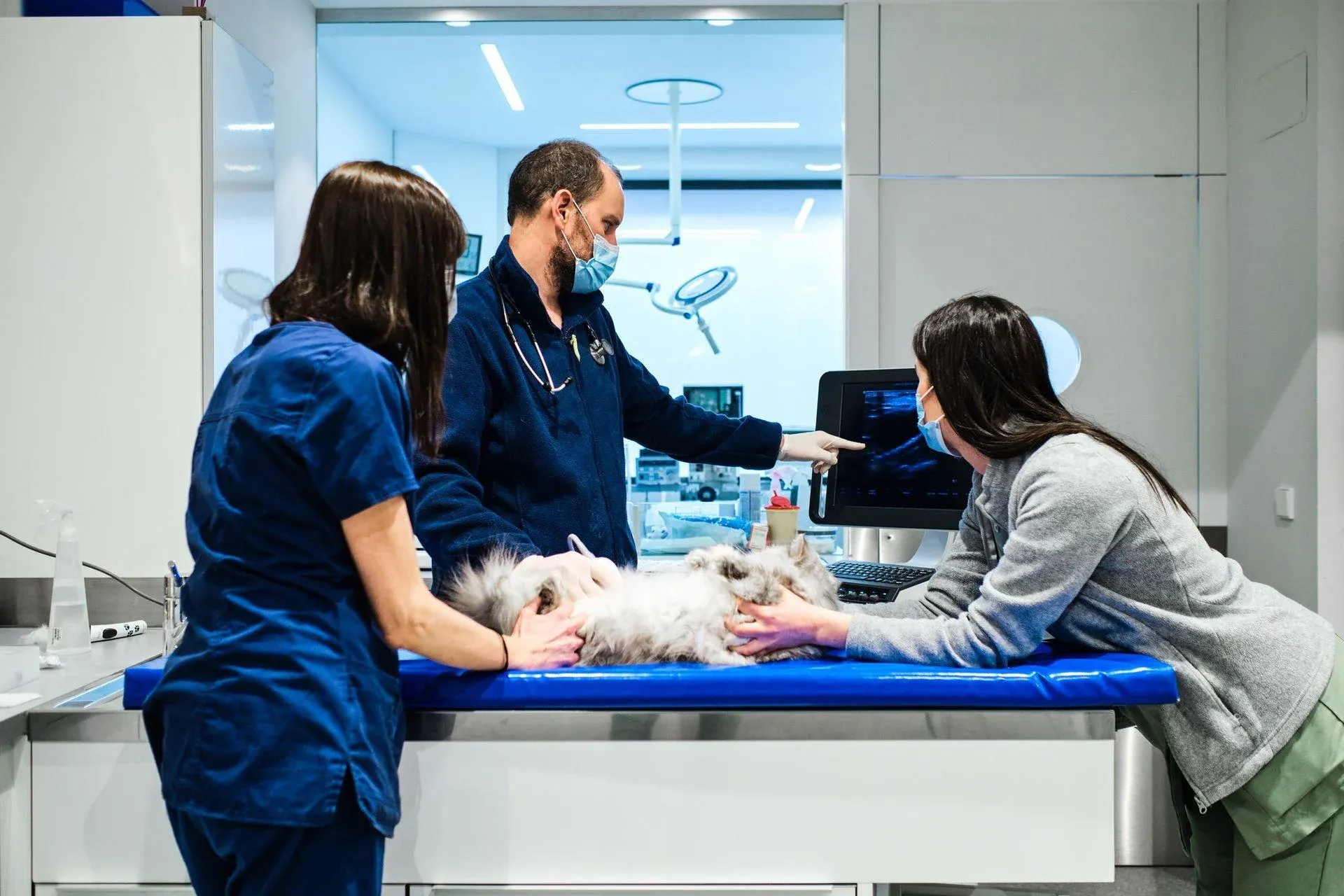 9 Best eVetPractice Alternatives for Veterinary Clinics in 2026