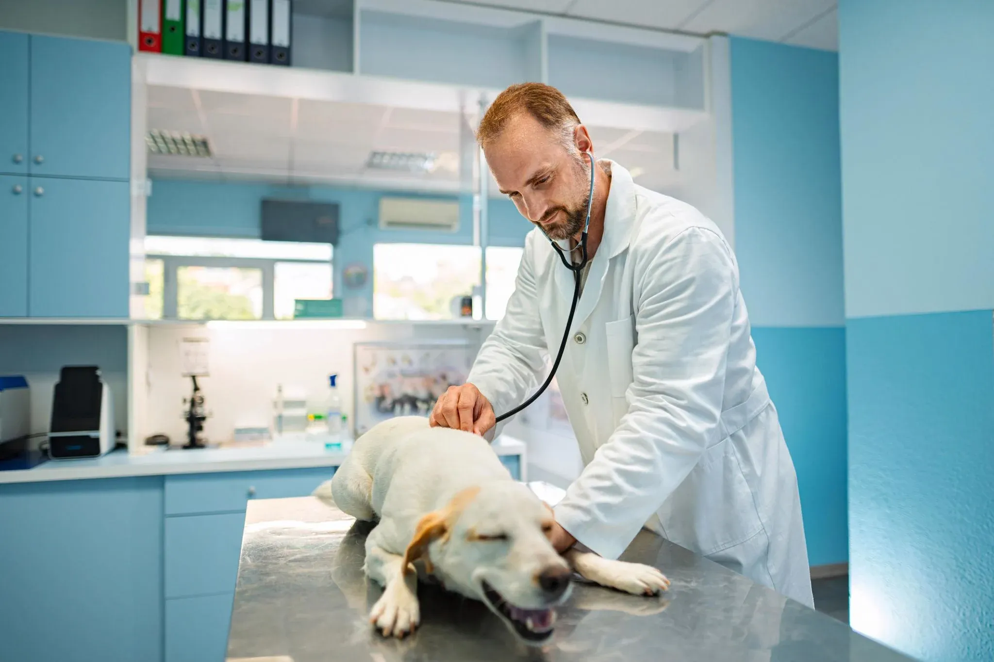 9 NaVetor Alternatives for Veterinary Clinics in 2026
