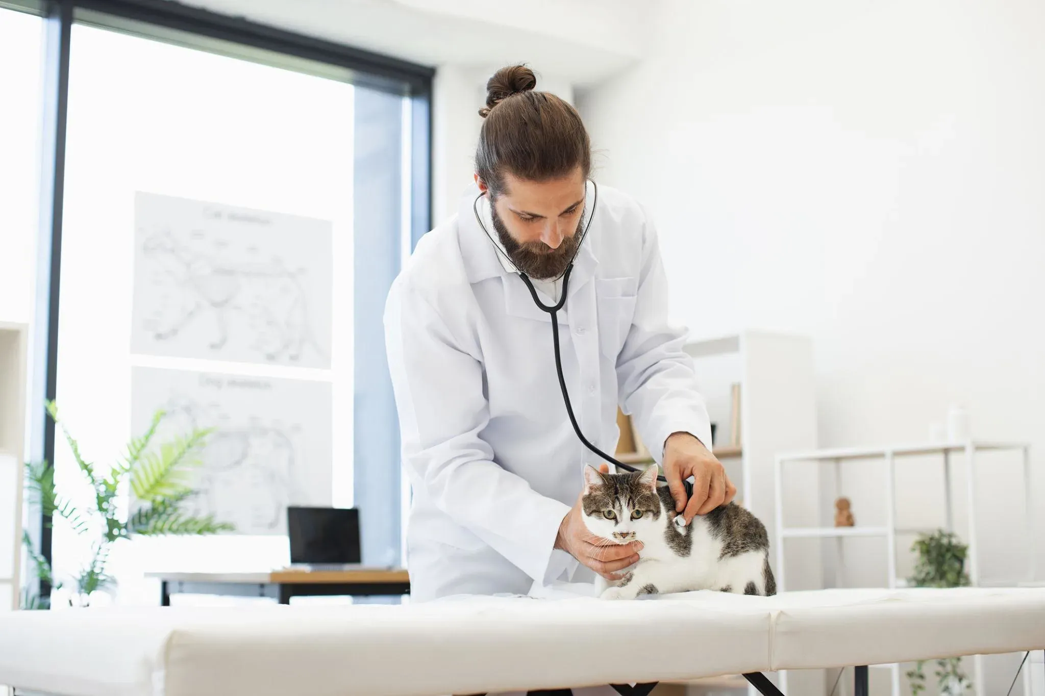 9 RxWorks alternatives for veterinary clinics in 2026