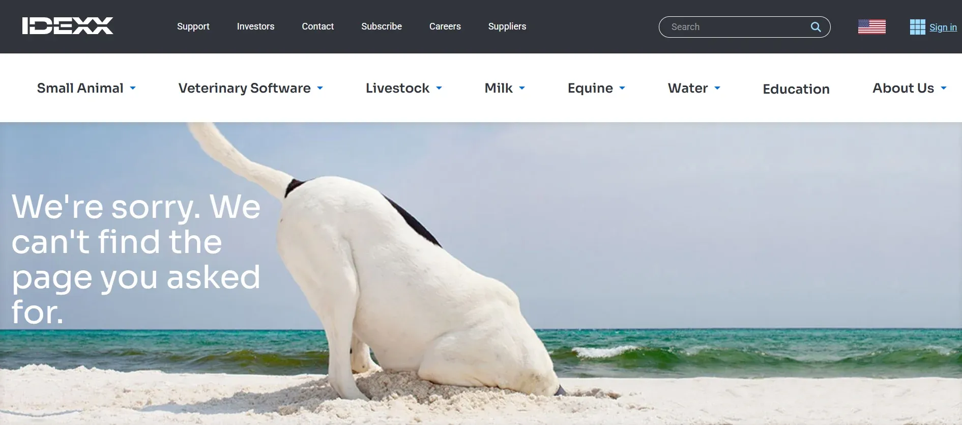 idexx-intravet.webp