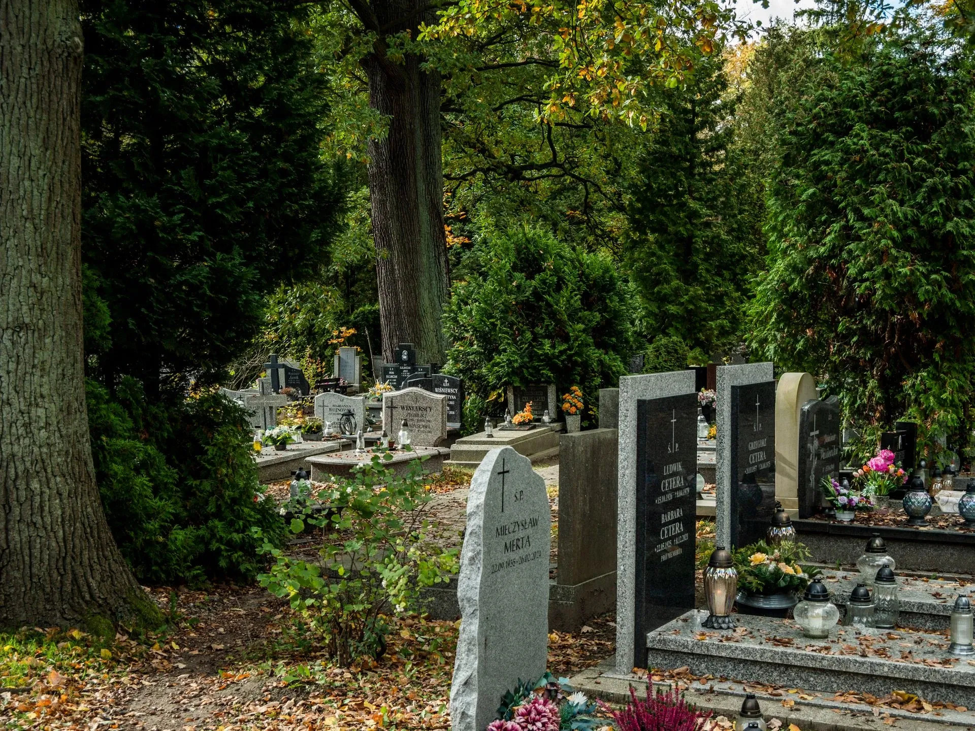 9 Best CIMS (funeral) Alternatives for Funeral Homes in 2026