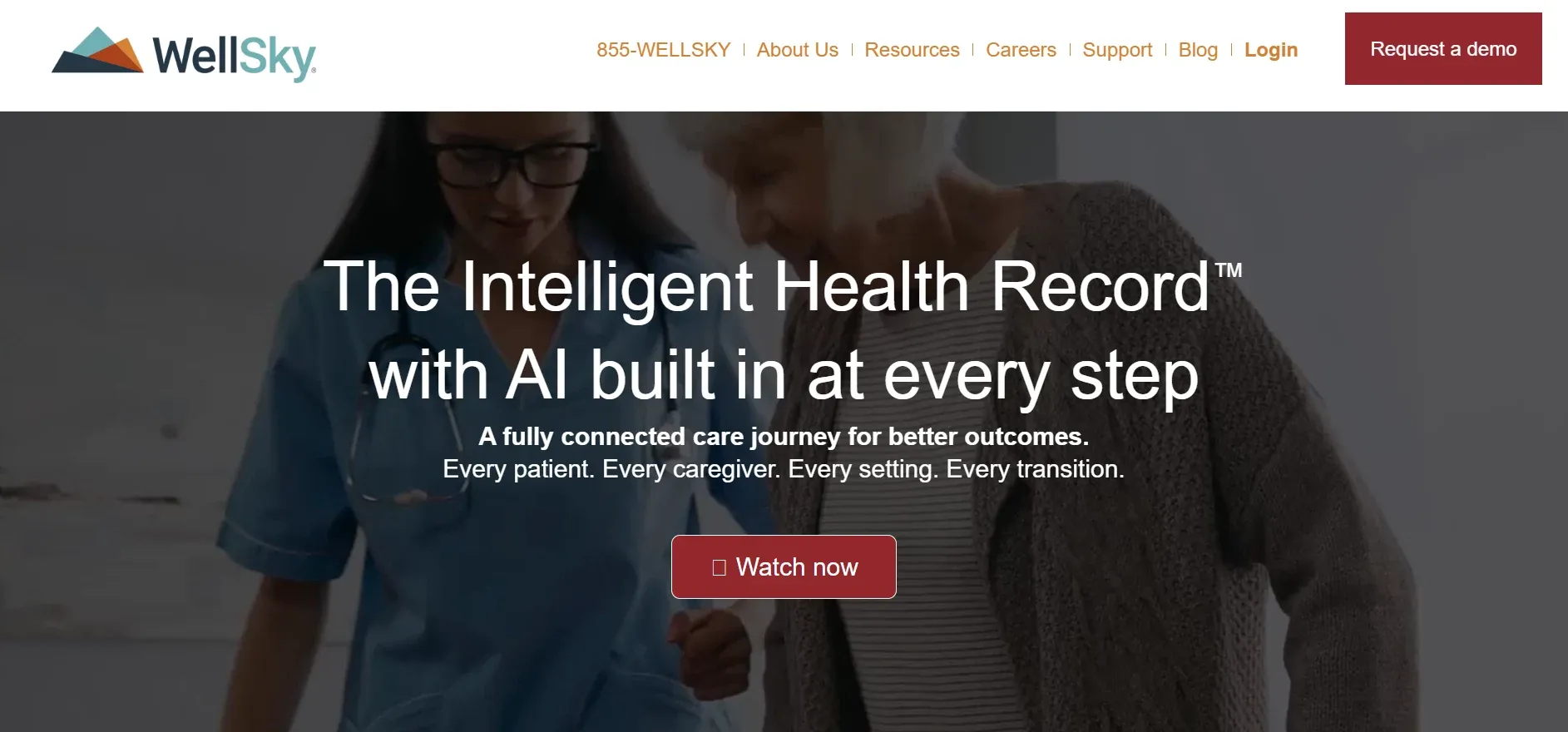 wellsky.webp